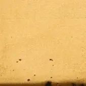 ORO ZECCHINO
